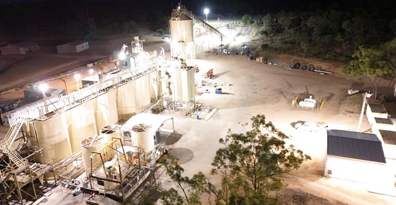 Blackjack plant at night