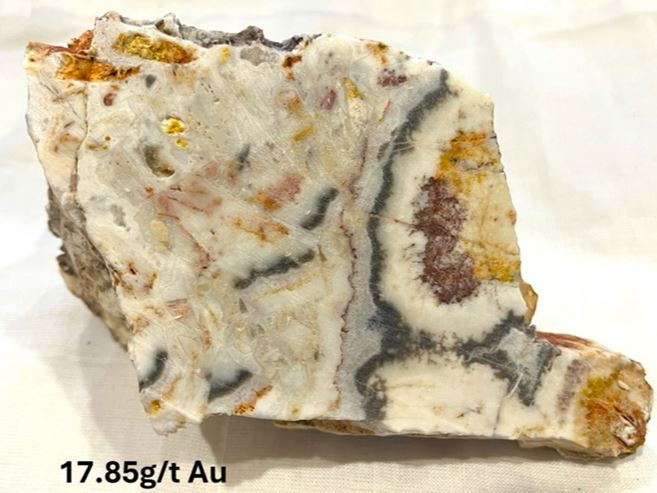 Rock chip (sample FC25_005) that assayed 17.85g/t Au, from Francis Creek.