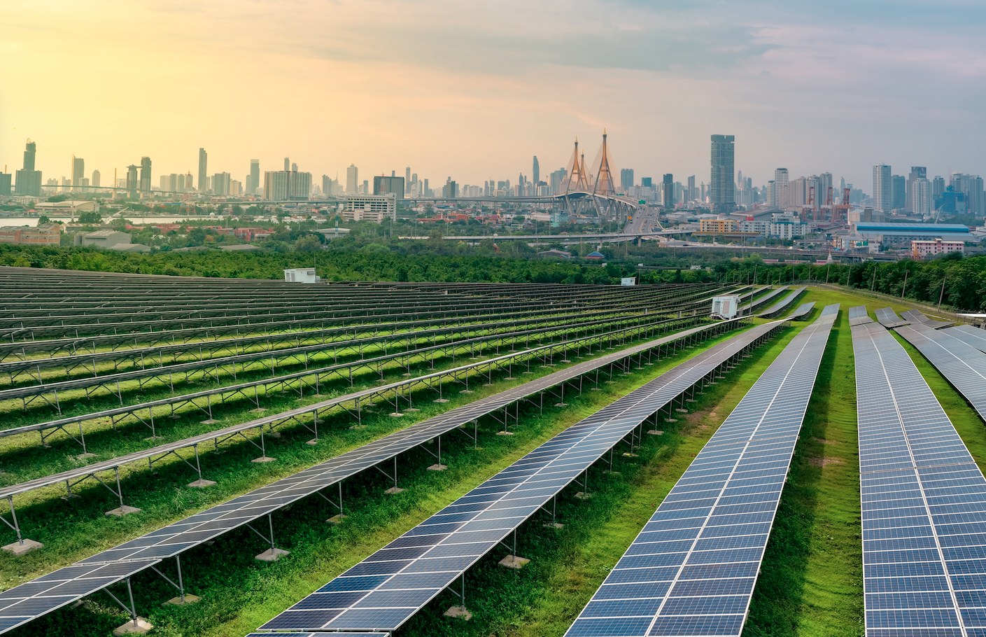 Bridging biodiversity: earthtrade expands to England