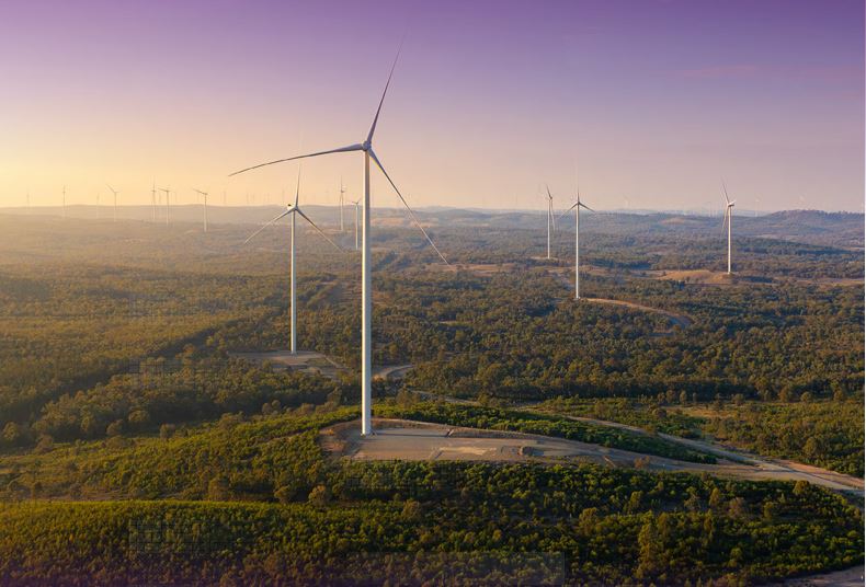 Policy certainty key concern for renewables sector